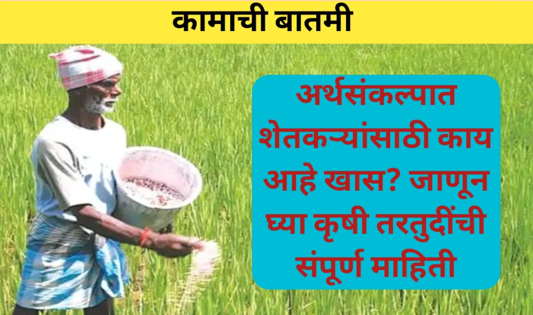 अर्थसंकल्पात शेतकऱ्यांसाठी तरतुदींबाबत माहिती