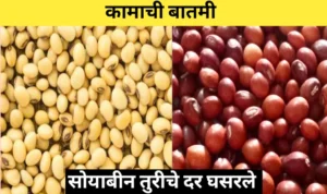 सोयाबीन तुरीचे दर घसरले