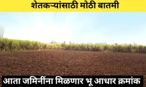 भू आधार क्रमांक काय असतो जाणून घ्या