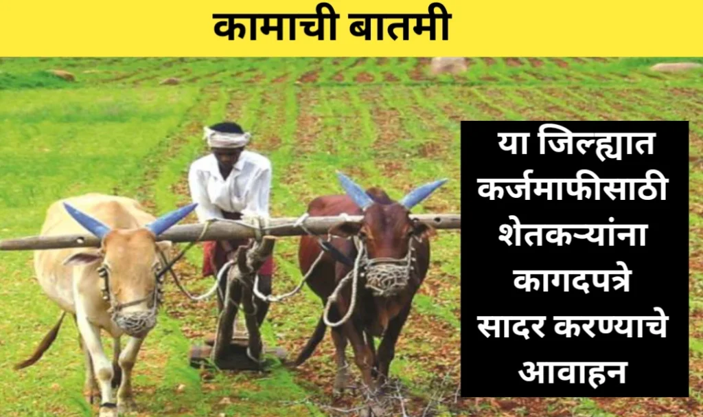 कामाची बातमी! यवतमाळ जिल्ह्यात कर्जमाफीसाठी शेतकऱ्यांना कागदपत्रे सादर करण्याचे आवाहन