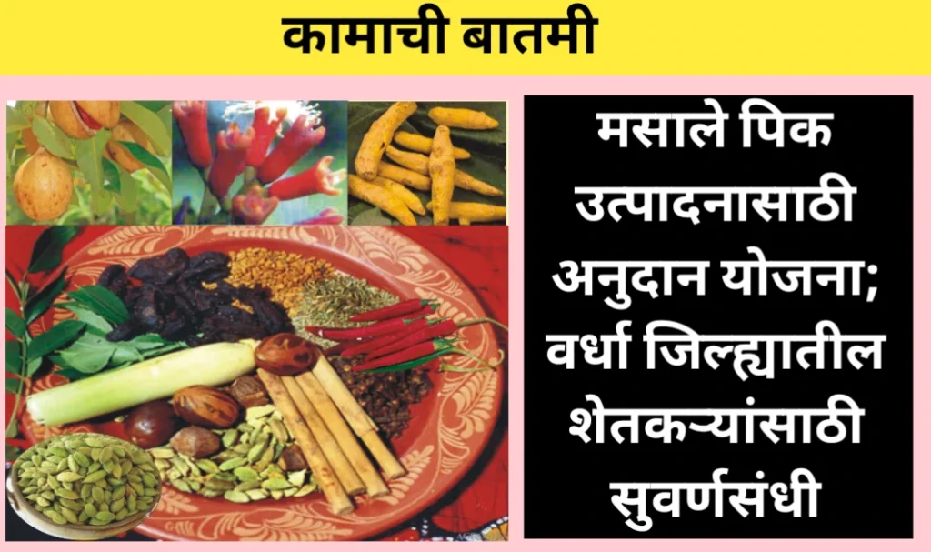 मसाले पिक उत्पादनासाठी अनुदान योजना; वर्धा जिल्ह्यातील शेतकऱ्यांसाठी सुवर्णसंधी