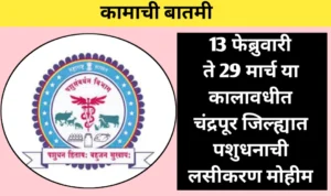 13 फेब्रुवारी ते 29 मार्च या कालावधीत चंद्रपूर जिल्ह्यात पशुधनाची लसीकरण मोहीम