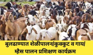 बुलढाण्यात शेळीपालन/कुक्कुट व गाय/म्हैस पालन प्रशिक्षण कार्यक्रम