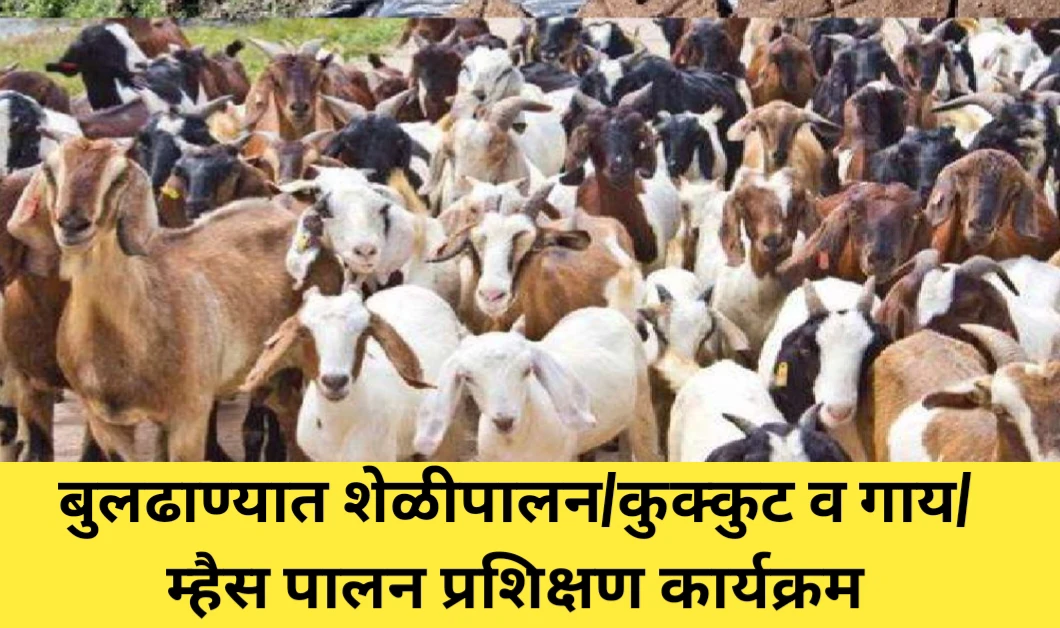 बुलढाण्यात शेळीपालन/कुक्कुट व गाय/म्हैस पालन प्रशिक्षण कार्यक्रम