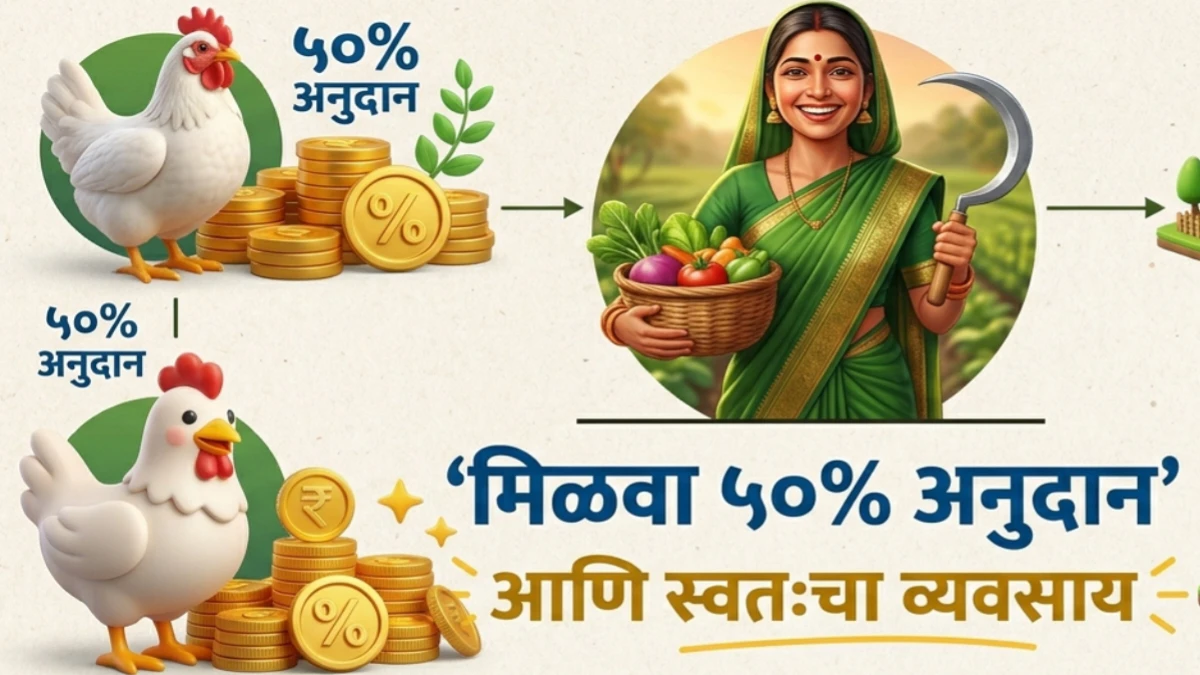 एकात्मिक कुक्कुट विकास योजना 2026: मिळवा 50% अनुदान, अर्ज प्रक्रिया आणि कागदपत्रांची संपूर्ण माहिती