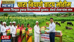 सातारा जिल्ह्यात चारा टंचाईवर मात करण्यासाठी मोठी मोहीम; पशुपालकांना उच्च दर्जाचे चारा बियाणे वाटप मोहीम सुरू