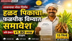 हळद पिकाचा फळपीक विमा योजनेत समावेश: शासनाचा महत्वाचा निर्णय