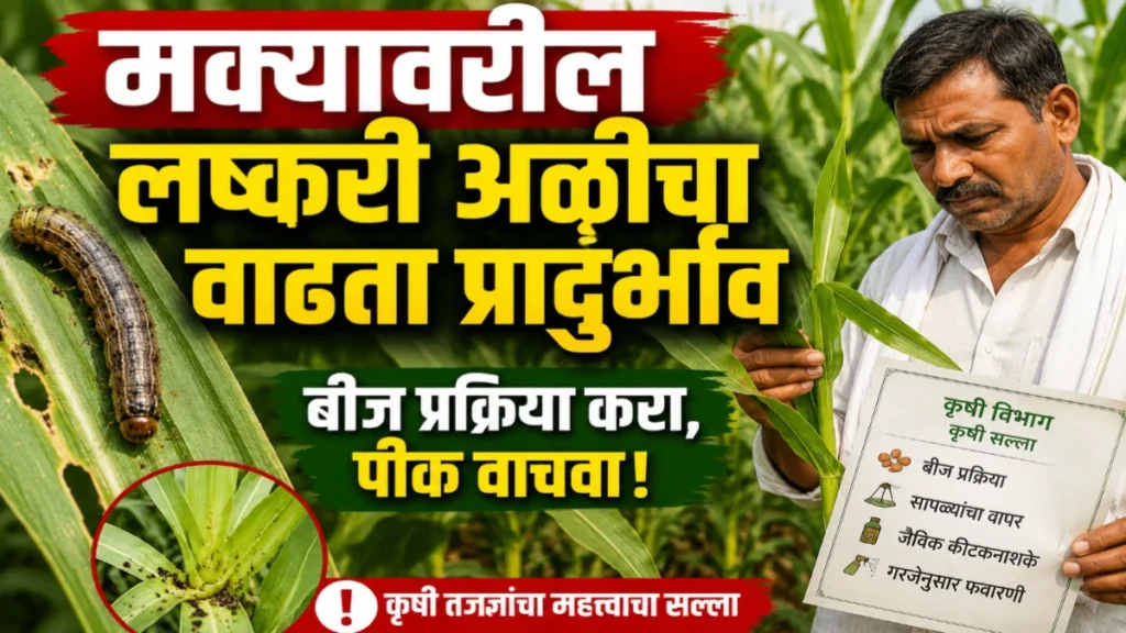 मक्यावरील लष्करी अळी आणि बीज प्रक्रिया व्यवस्थापन: फॉल आर्मीवर्म नियंत्रणासाठी संपूर्ण मार्गदर्शक