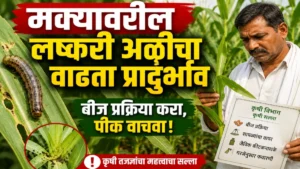 मक्यावरील लष्करी अळी आणि बीज प्रक्रिया व्यवस्थापन: फॉल आर्मीवर्म नियंत्रणासाठी संपूर्ण मार्गदर्शक