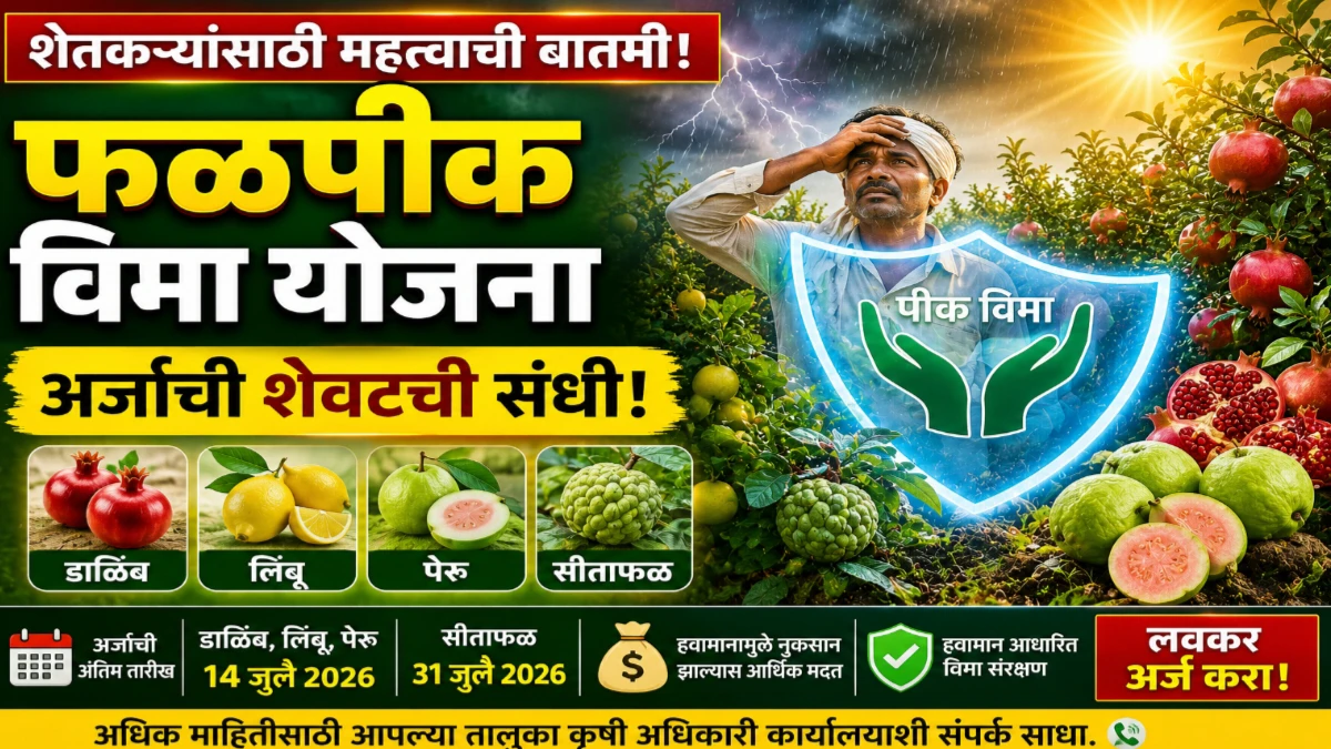 मृग बहार फळपीक विमा योजना