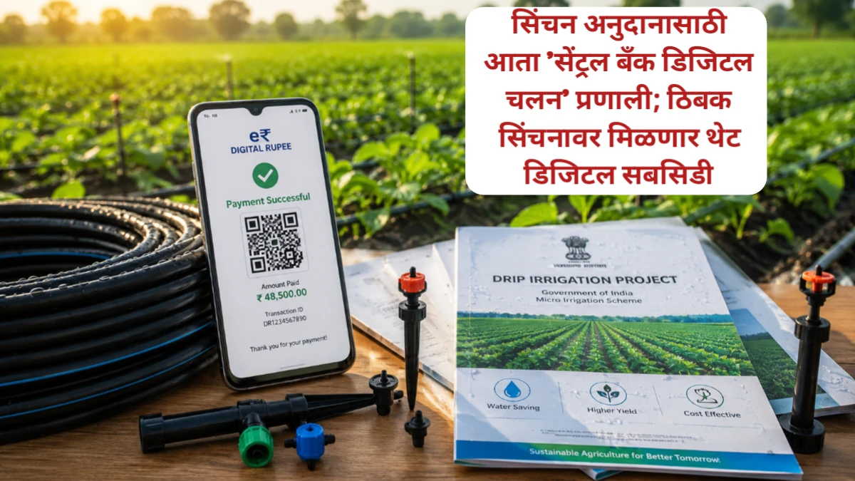 सिंचन अनुदानासाठी आता 'सेंट्रल बँक डिजिटल चलन' प्रणाली; ठिबक सिंचनावर मिळणार थेट डिजिटल सबसिडी