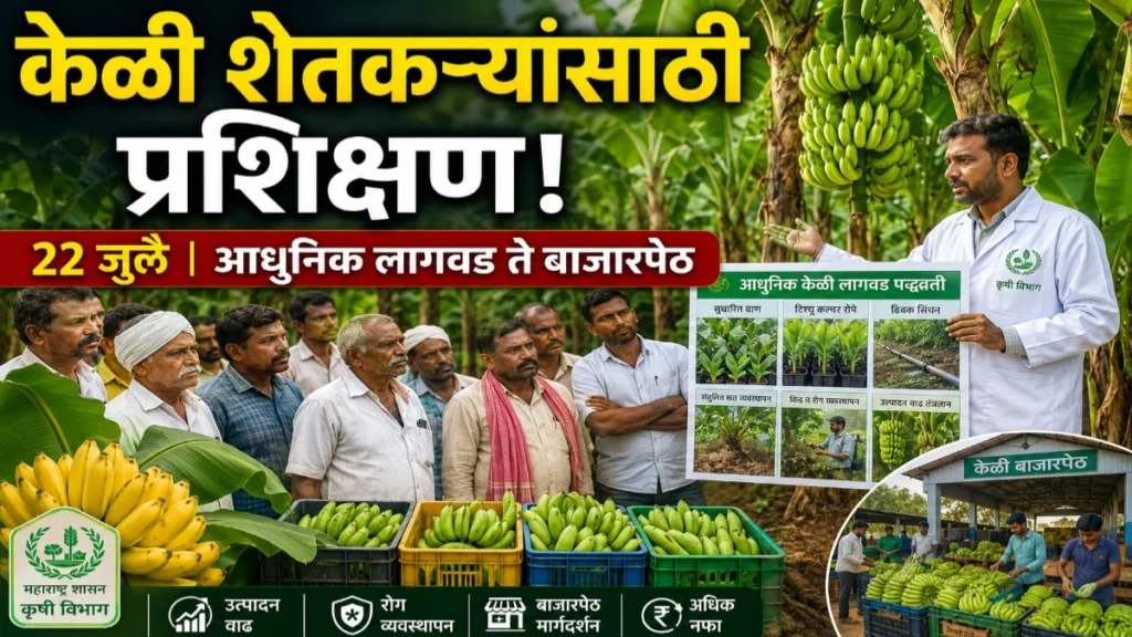 केळी उत्पादक शेतकऱ्यांसाठी केळी परिषद व प्रशिक्षण कार्यक्रम | 22 जुलै रोजी वर्धा येथे आयोजन