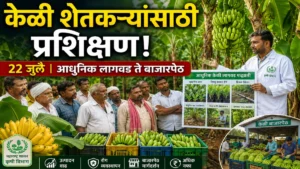 केळी उत्पादक शेतकऱ्यांसाठी केळी परिषद व प्रशिक्षण कार्यक्रम | 22 जुलै रोजी वर्धा येथे आयोजन