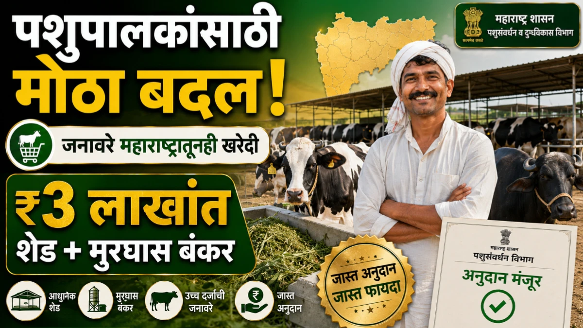 मुख्यमंत्री ग्रामीण पशुधन उद्योजकता योजनेत महत्त्वाचे बदल; जनावरांची खरेदी महाराष्ट्रातही करता येणार, ₹3 लाखांत शेड-मुरघास बंकरची सुविधा