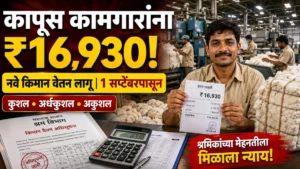 कापूस पिंजणे व दाबणे उद्योगातील कामगारांसाठी मोठी बातमी! किमान वेतन ₹16,930 पर्यंत; 1 सप्टेंबरपासून नवे दर