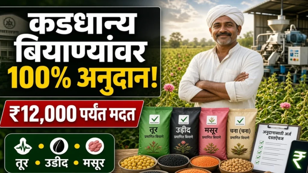 कडधान्य बियाण्यांवर 100% पर्यंत अनुदान; तूर, उडीद, मसुरीसाठी मोठा निर्णय, शेतकऱ्यांना मिळणार मोठी मदत