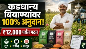 कडधान्य बियाण्यांवर 100% पर्यंत अनुदान; तूर, उडीद, मसुरीसाठी मोठा निर्णय, शेतकऱ्यांना मिळणार मोठी मदत