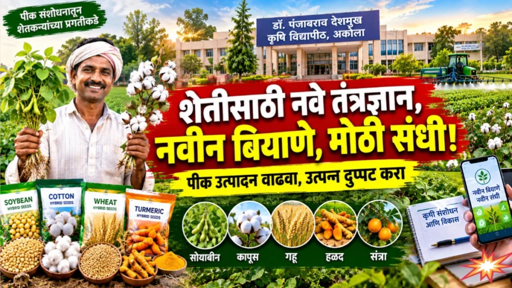 पीडीकेव्हीच्या ९ नव्या वाणांना मंजुरी; सोयाबीन, कापूस, गहूसह संत्र्याला मोठी भेट