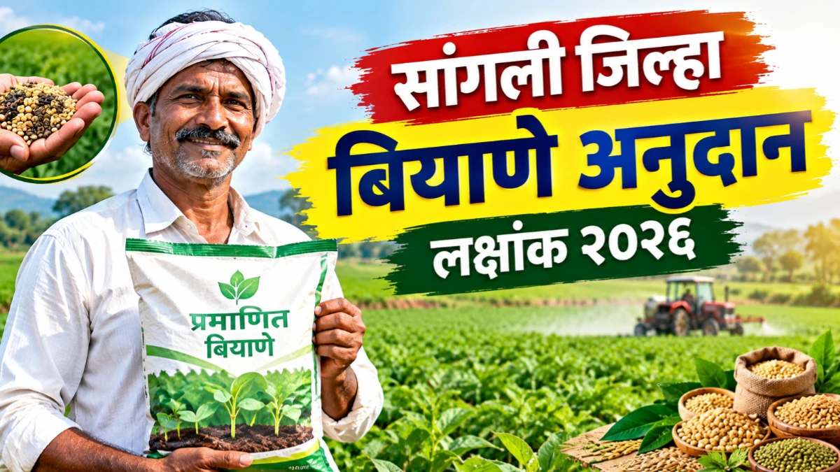 सांगली जिल्हा बियाणे अनुदान लक्षांक २०२६ : रब्बी हंगामात शेतकऱ्यांना मोठी संधी