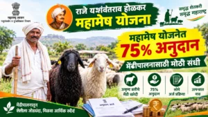 राजे यशवंतराव होळकर महामेष योजना: 75% अनुदान, पात्रता, कागदपत्रे आणि लाभ