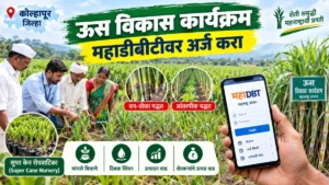कोल्हापूर जिल्ह्यात ऊस विकास कार्यक्रम; महाडीबीटीवर अर्ज करण्याचे आवाहन