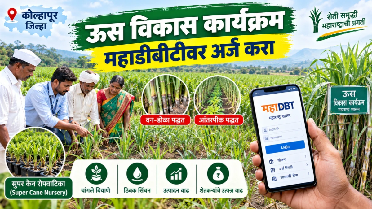 कोल्हापूर जिल्ह्यात ऊस विकास कार्यक्रम; महाडीबीटीवर अर्ज करण्याचे आवाहन