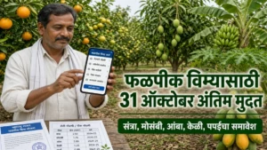आंबिया बहार फळपीक विमा योजना : शेतकऱ्यांनो 31 ऑक्टोबरपर्यंत करा विमा प्रस्ताव सादर