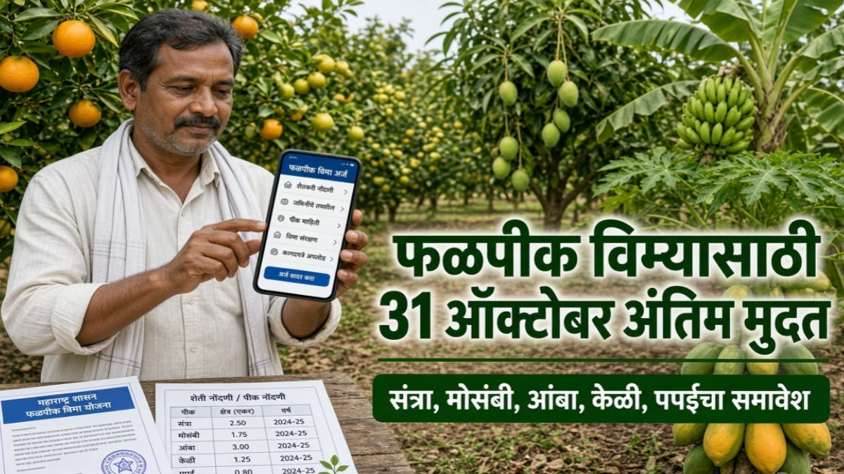 आंबिया बहार फळपीक विमा योजना : शेतकऱ्यांनो 31 ऑक्टोबरपर्यंत करा विमा प्रस्ताव सादर