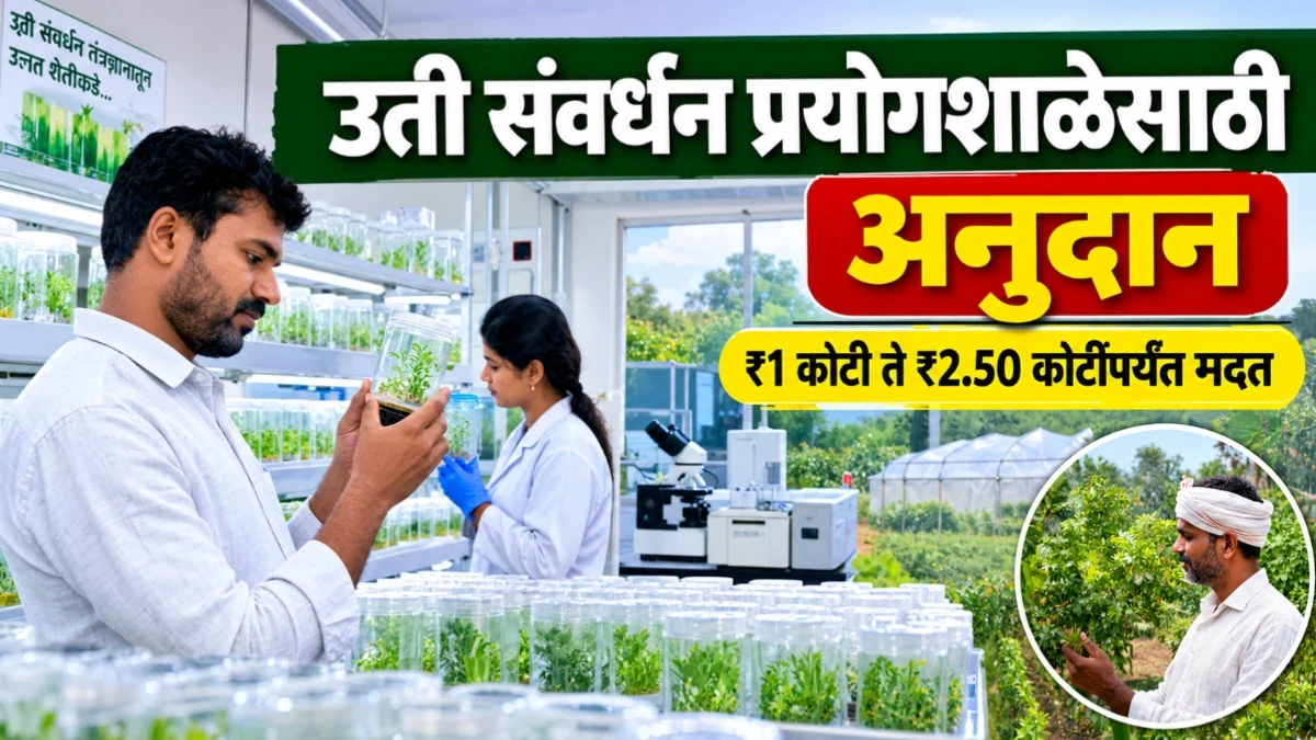 यवतमाळ जिल्ह्यात नवीन उती संवर्धन प्रयोगशाळेसाठी अनुदान; सार्वजनिक संस्थांना ₹2.50 कोटी, खाजगी क्षेत्राला ₹1 कोटीपर्यंत मदत