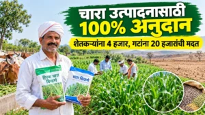 चारा उत्पादनासाठी शेतकऱ्यांना 100% अनुदान; वैयक्तिक लाभार्थ्यांना 4 हजार तर शेतकरी गटांना 20 हजारांची मदत