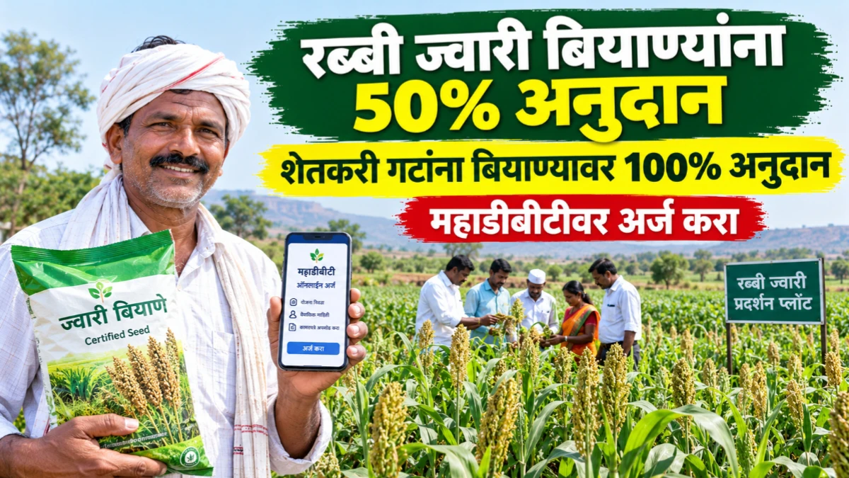 रब्बी ज्वारीच्या बियाण्यांसाठी 50 टक्के अनुदान; महाडीबीटी पोर्टलवर अर्ज सुरू, शेतकरी गटांना 100 टक्के अनुदान