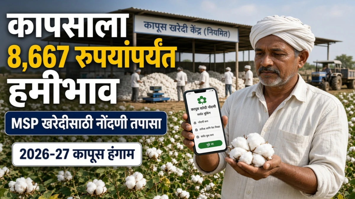 कापूस उत्पादक शेतकऱ्यांसाठी हमीभाव 2026-27: MSP दर जाणून घ्या