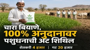 दुष्काळग्रस्त शेतकऱ्यांसाठी 100% अनुदानावर चारा बियाणे; पशुधनाची अट शिथिल, शासनाचा मोठा निर्णय