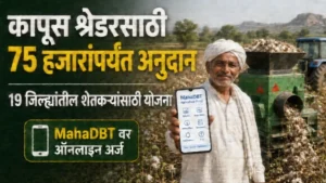 कापूस श्रेडरसाठी 75 हजार रुपयांपर्यंत अनुदान; 19 जिल्ह्यांत MahaDBT वर अर्ज सुरू